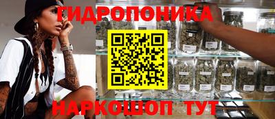 кокс Лесосибирск