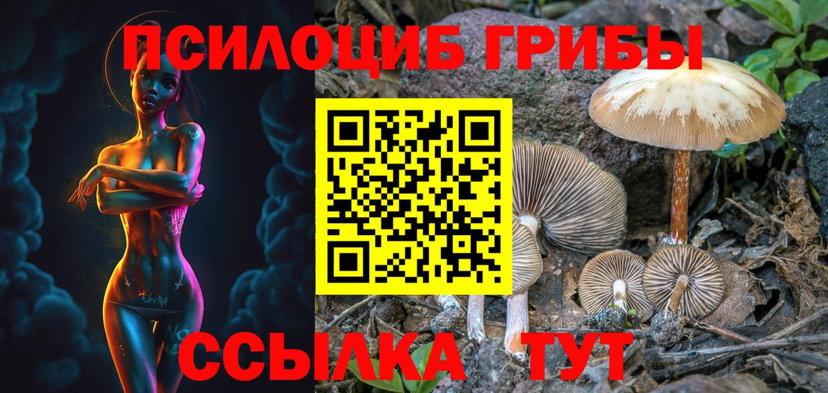 Галлюциногенные грибы GOLDEN TEACHER Иваново